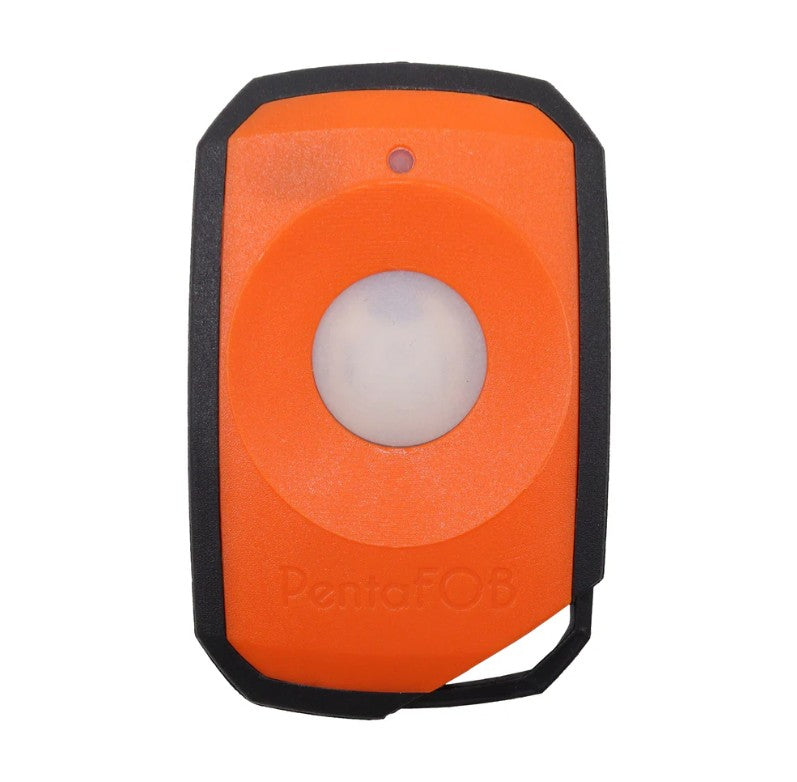 Elsema Pentafob 1 Small Button Genuine Remote