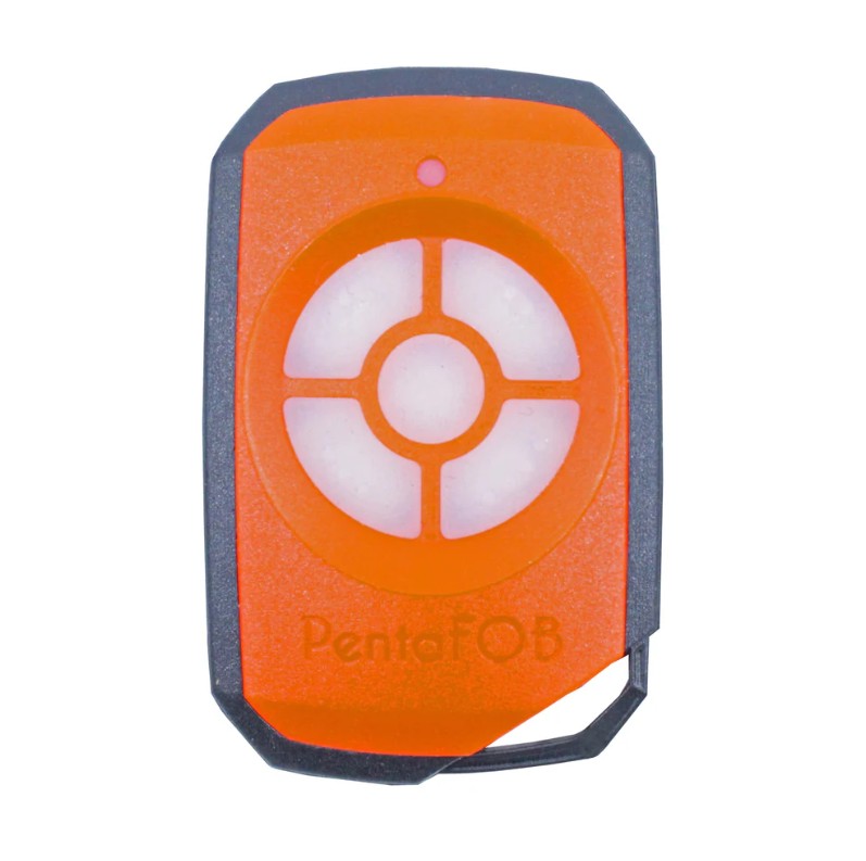 Elsema Pentafob 5 Channel Genuine Remote FOB43305